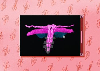 clitoral nerve mapping